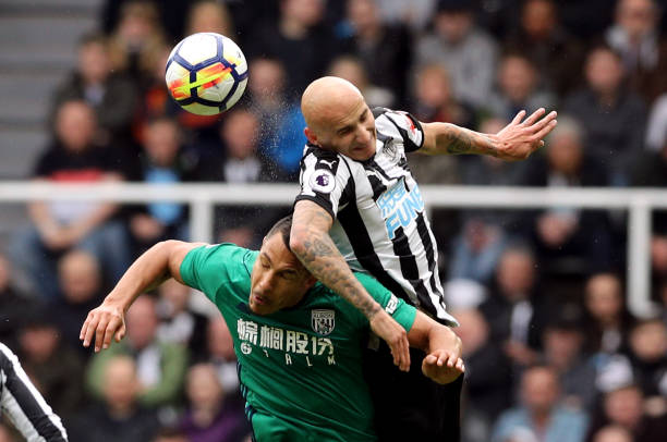 为爱好者们 为爱好者们